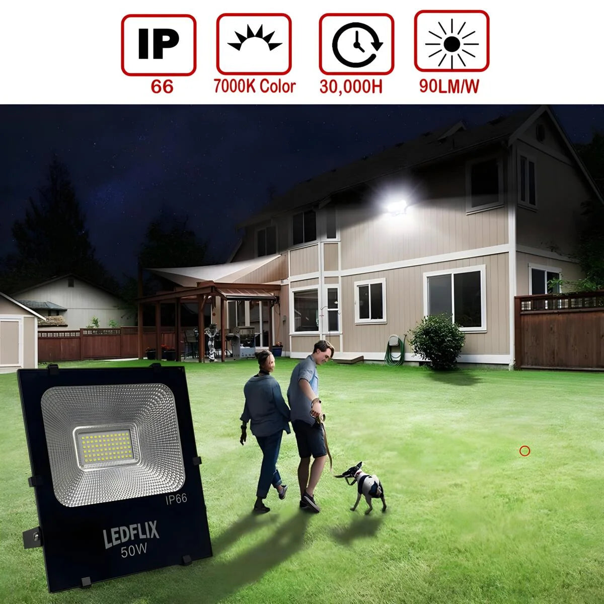 LED Floodlights IP66, 50W with Cold White